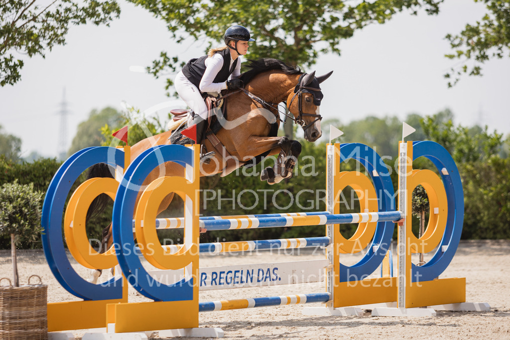 230616_Lemwerder_Springpf-L2-636 | Deine schönsten Turniermomente als professionelle Fotos! Entdecke hochwertige Pferdesport-Fotografie im Online-Shop. Jetzt Fotos finden & bestellen!