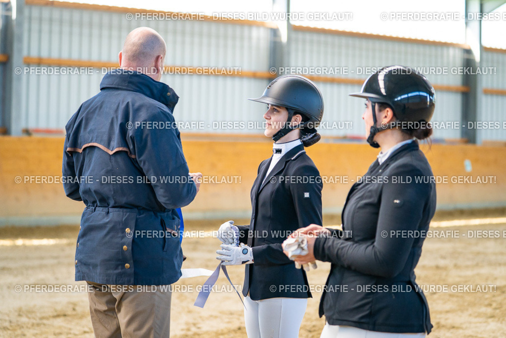 DSC06578 | Pferdegrafie