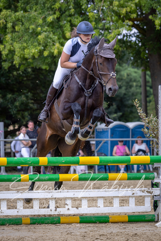 20260704-_3LI0597 | Tierfotografie Pferde, Hunde, Katzen, Haustiere.
Turnierfotografie Reitturniere, Reiten, Springreiten, Dressur in Hanau, dem Main-Kinzig-Kreis und dem Rhein-Main- Gebiet um Frankfurt