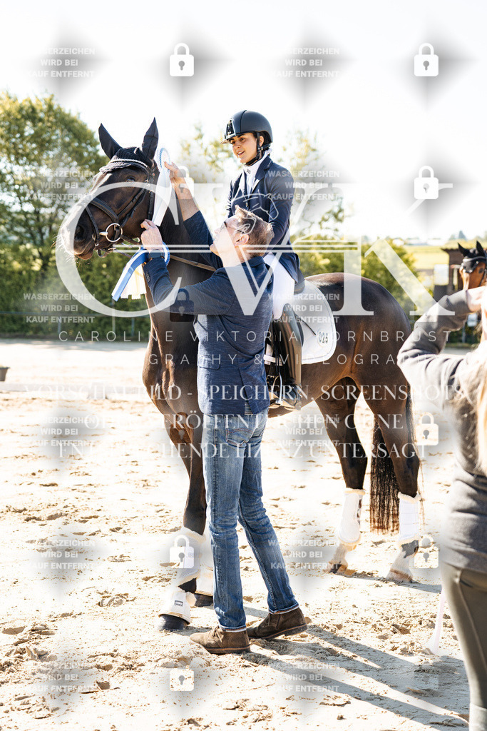 CK703481 | Turnierfotografie Pferdefotografie Trier Rheinland-Pfalz Pferdesport Reitsport Tierfotografie Sportfotografie Pferdevideo Pferdevideografie Equestrianvideography equestrianphotography  - Realisiert mit Pictrs.com