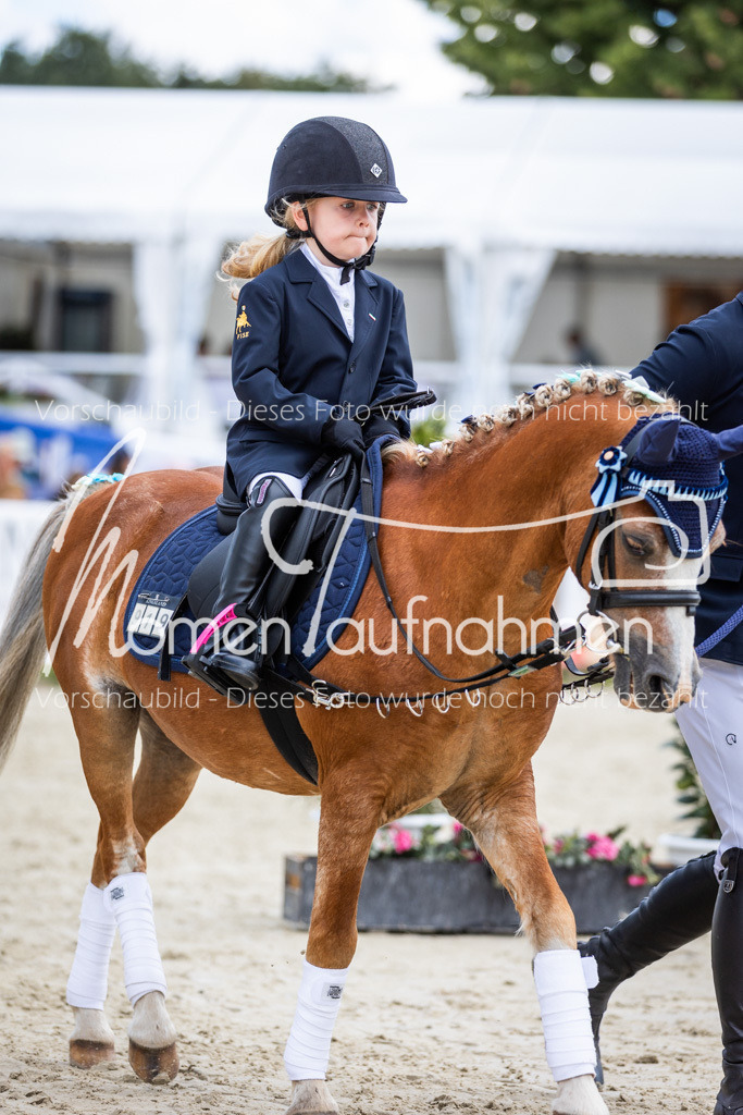 BHO-Führzügel2-014 | MomenTaufnahmen Pferdesportfotos