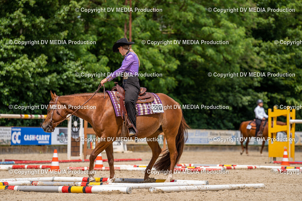 Zeiskam Tag 2-1750 | dv-media-shop - Realisiert mit Pictrs.com