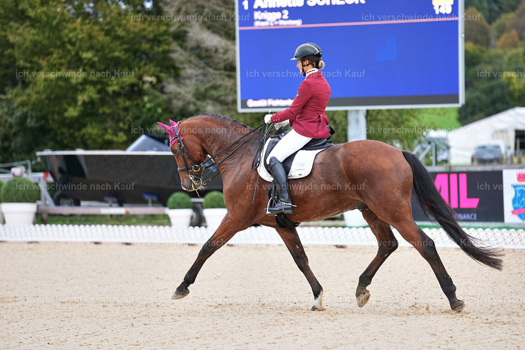 04_1-149-Dressur M__ -Marixx-2790 | working equitationturnier fotograf videograf stoibphotography marixx film working equitation deutschland reitsport turnierfotografie eventfotografie equestrian events