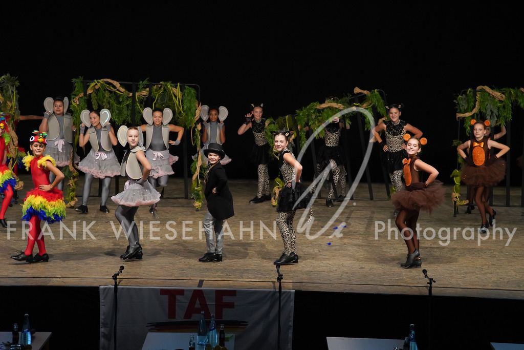 steppdm22_2923 | FRANK WIESEHAHN MEDIA - Realisiert mit Pictrs.com