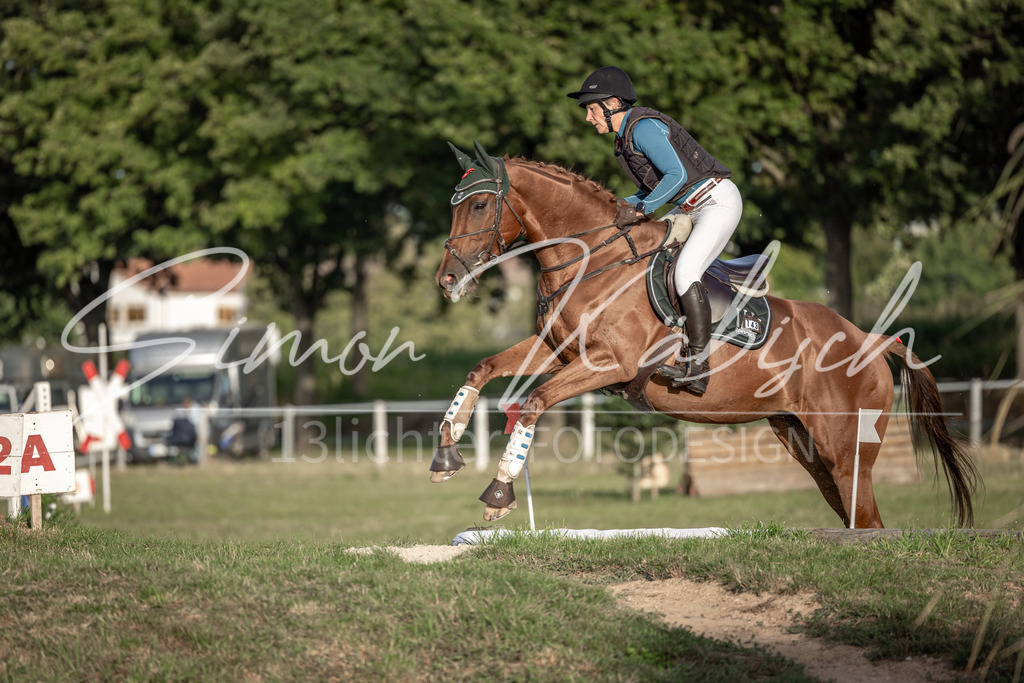 20250907-_3LI8312 | Tierfotografie Pferde, Hunde, Katzen, Haustiere.
Turnierfotografie Reitturniere, Reiten, Springreiten, Dressur in Hanau, dem Main-Kinzig-Kreis und dem Rhein-Main- Gebiet um Frankfurt