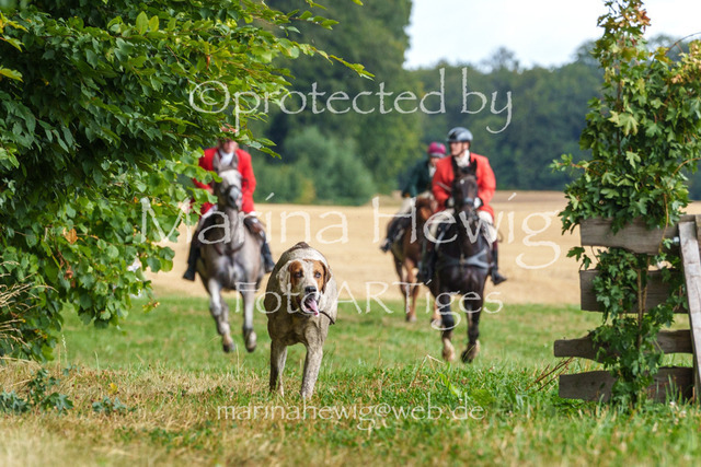 Jagd Knoop 26_MarinaHewigMCH02592 | Fotografie, FotoArt, PferdesportArt, Pferdesportfotografie, Landschaftsfotografie, Reisefotografie, Reise, Pferde - Realisiert mit Pictrs.com