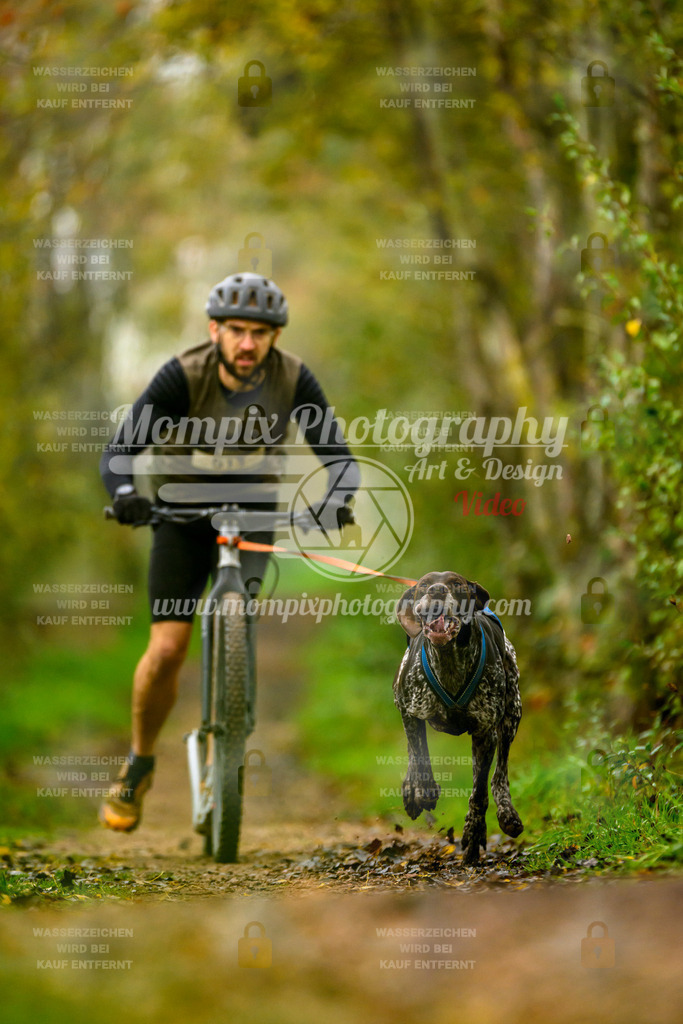 MompixPhotography_20TSB_E6_DS1-36 | PayLife