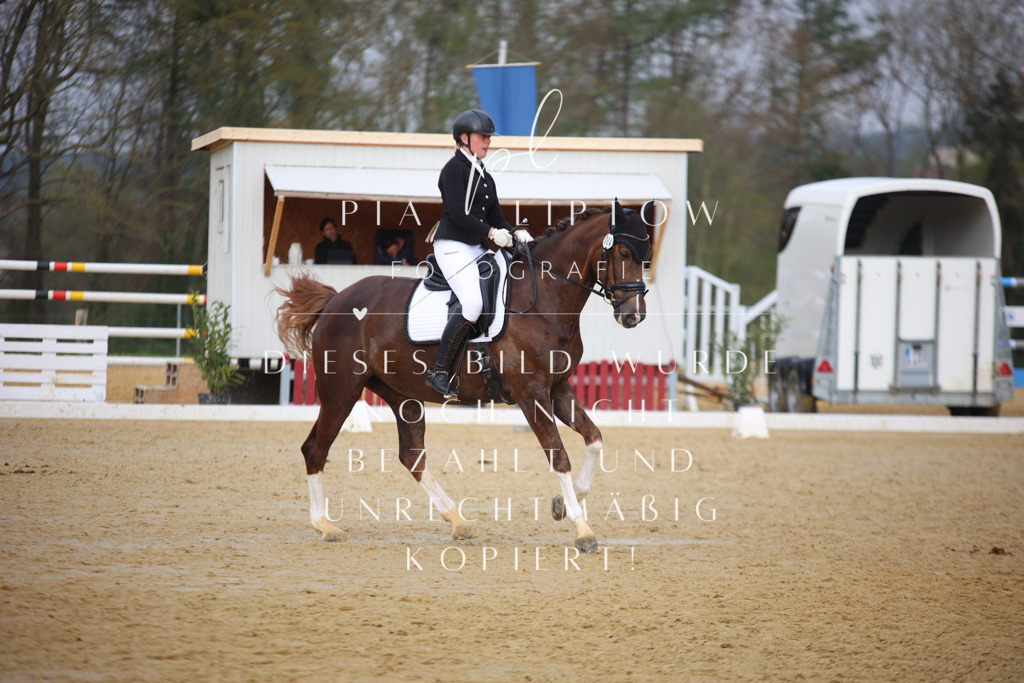 IMGT7803 | pl-fotografie