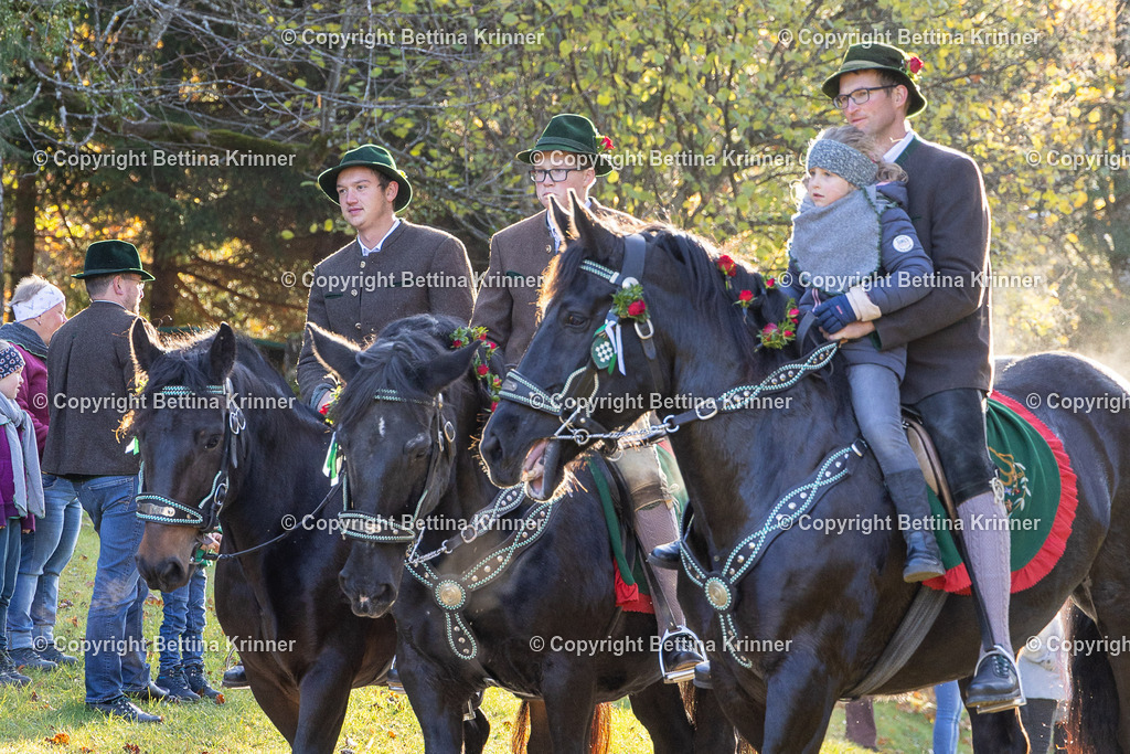 LL24-151 | foto-bettina-krinner - Realisiert mit Pictrs.com