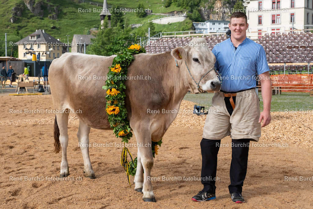 BR_07551-2 | René Burch leidenschaftlicher Fotograf aus Kerns in Obwalden.  Hier finden sie Sport, Landschaft und Natur Fotografie.
 - Realisiert mit Pictrs.com
