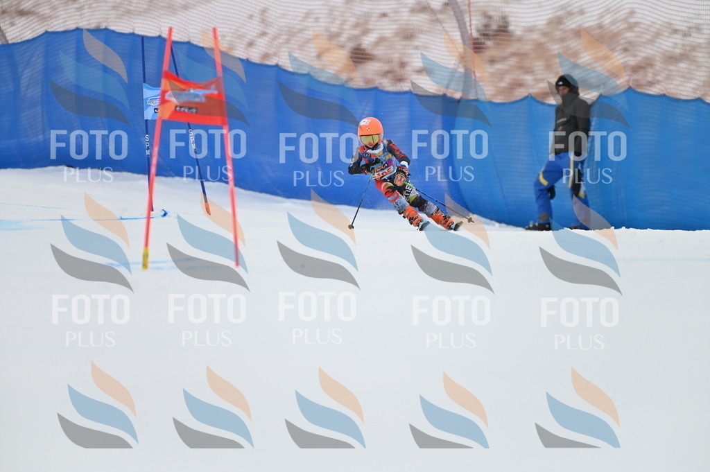 BGV_9294 | holidayphoto