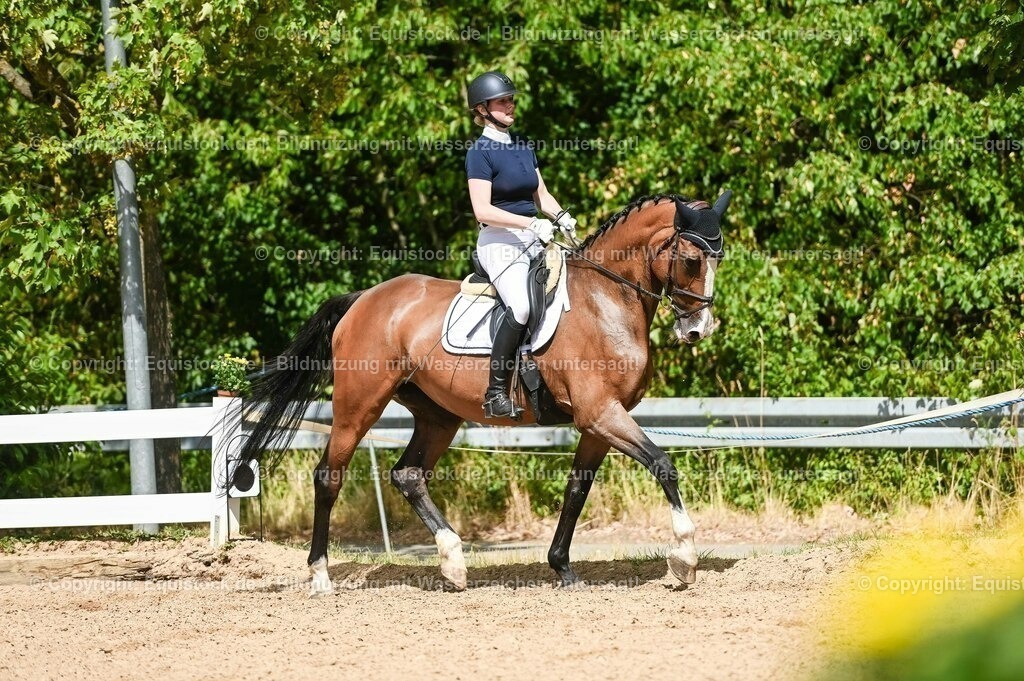 20230715_02_Dressurreiterprüfung Kl.L_0327 | equistock