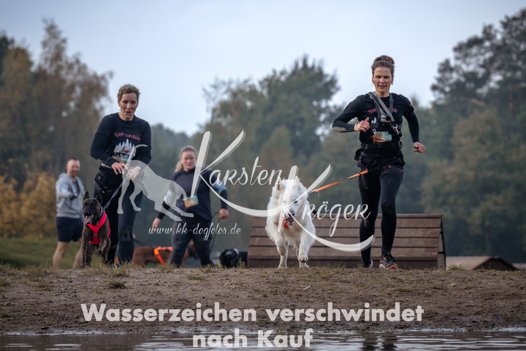 1138_ZZ95675 | kk-dogfotos