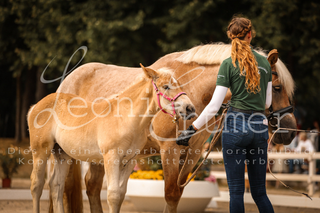 SaSF00127 | Leoni Ertmer Photography - Realisiert mit Pictrs.com