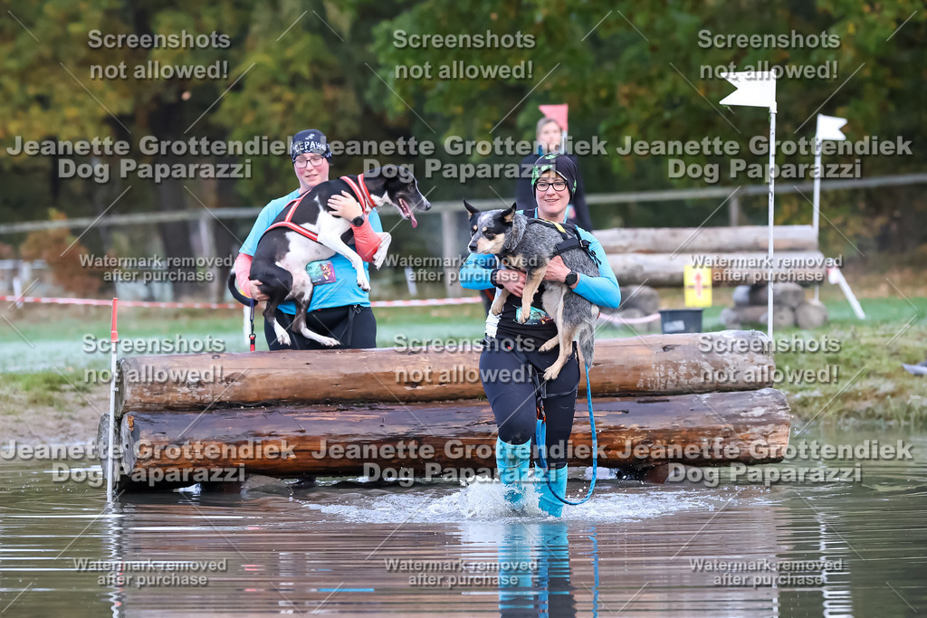 Dog Paparazzi - Strongdog 10-25-6256 | Dog Paparazzi Jeanette Grottendiek Fotografie & Videografie - Realisiert mit Pictrs.com