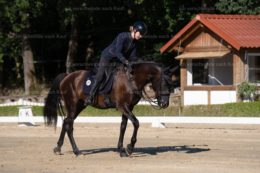 WM_DR_48_sinafilmart_IN04328 | working equitationturnier fotograf videograf stoibphotography marixx film working equitation deutschland reitsport turnierfotografie eventfotografie equestrian events