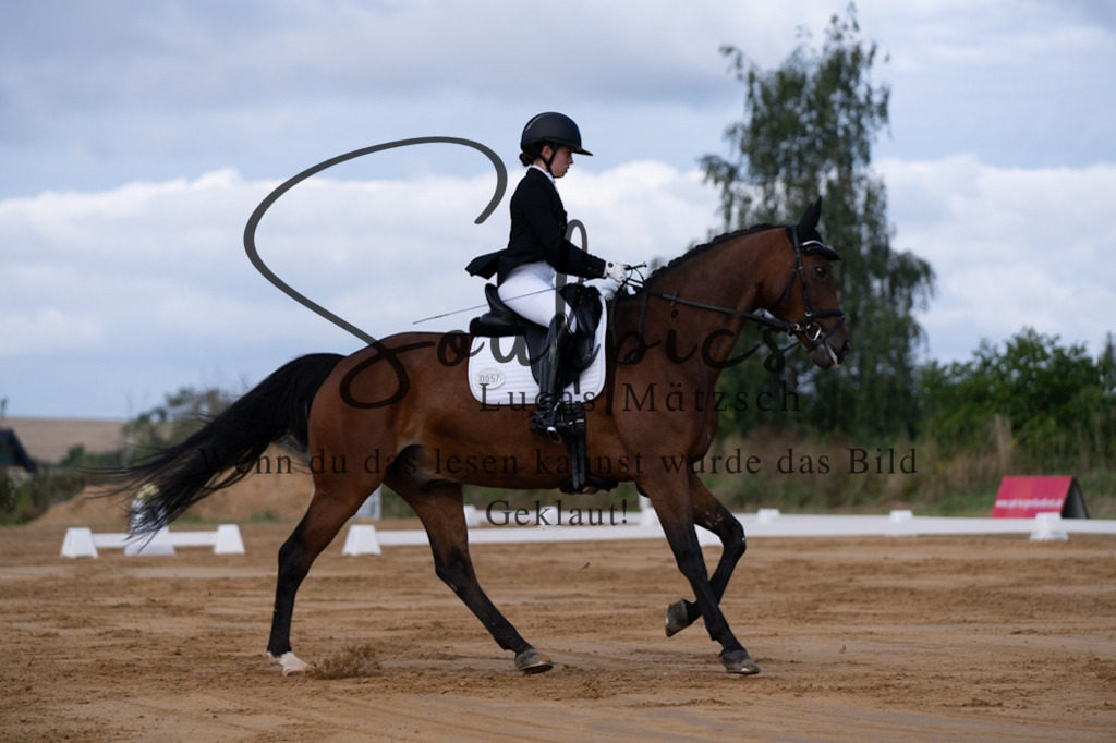 A7V05118 | Pferdefotograf