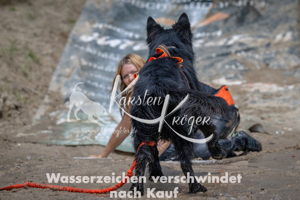 1404_ZZ92969 | kk-dogfotos