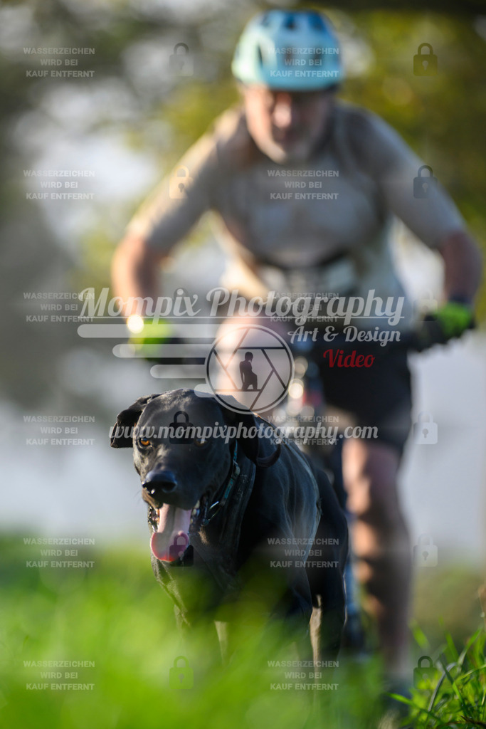 MompixPhotography_20TSB_E3_Bike-192 | PayLife