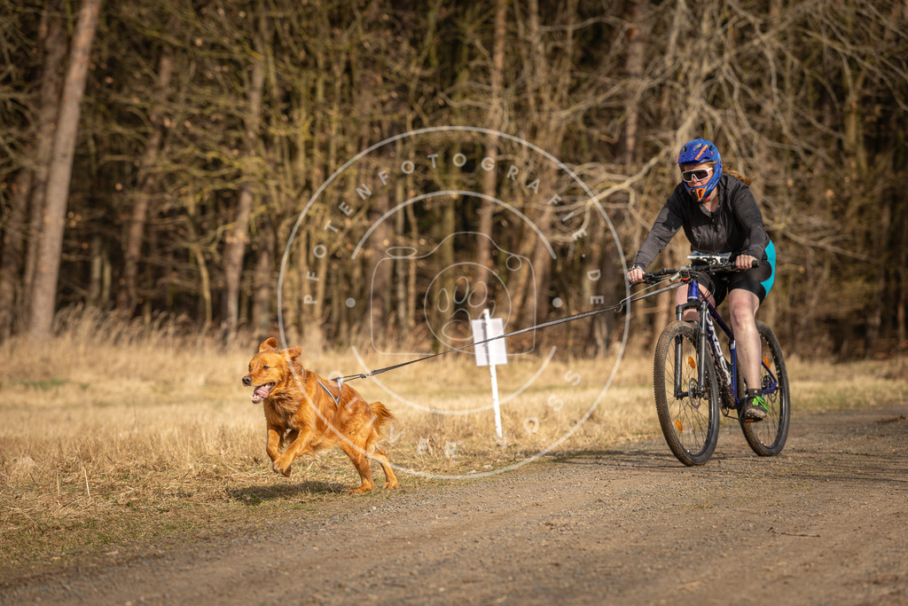 DV3A4484 | Hundefotografie, Tierfotograf, Pfotenfotografie, Fotoshooting Hund, Hunde Portrait, Hundesport, Hundeportraits, Heideshooting, Hunde, Sportfotograf, Hundefotograf, Turnierhundsport, THS,  - Realisiert mit Pictrs.com