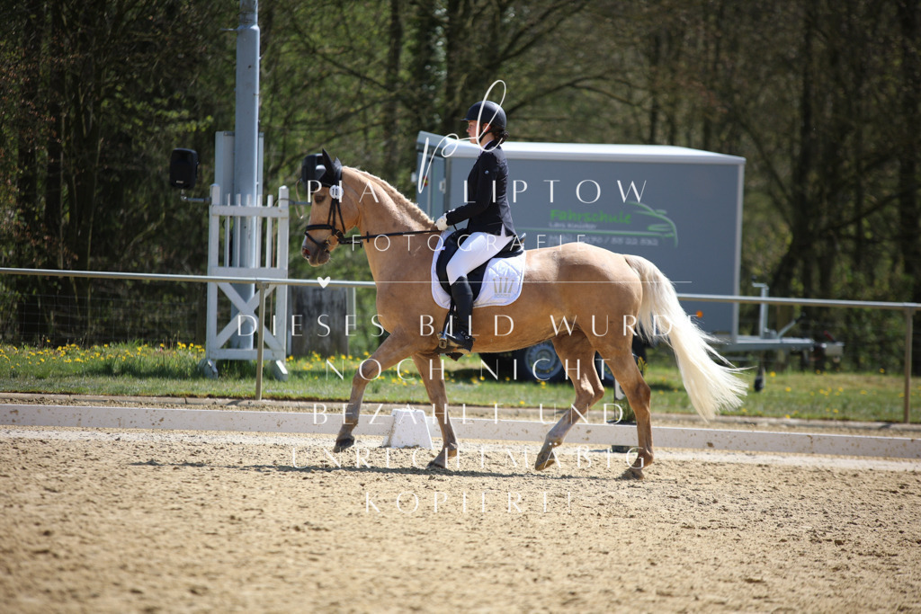 IMGT7189 | pl-fotografie