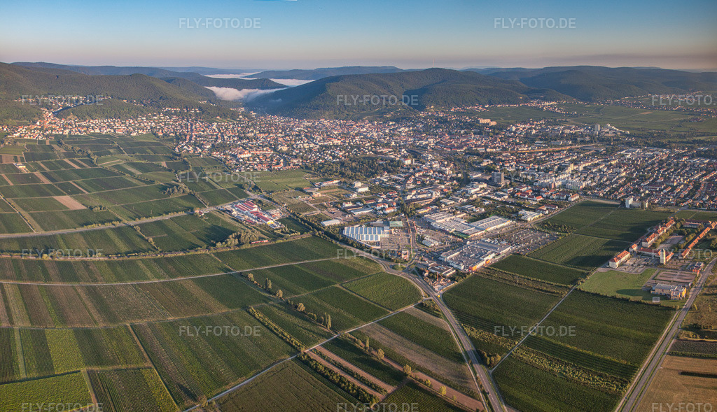 Luftbild: Panorama in Neustadt an der Weinstraße im Bundesland Rheinland-Pfalz in Deutschland. Foto: IMG_44363-Bearbeitet.jpg vom 20.08.2011 durch Werner Riehm/FLY-FOTO.deAuflösung des Originals: 8815 x 5074 px