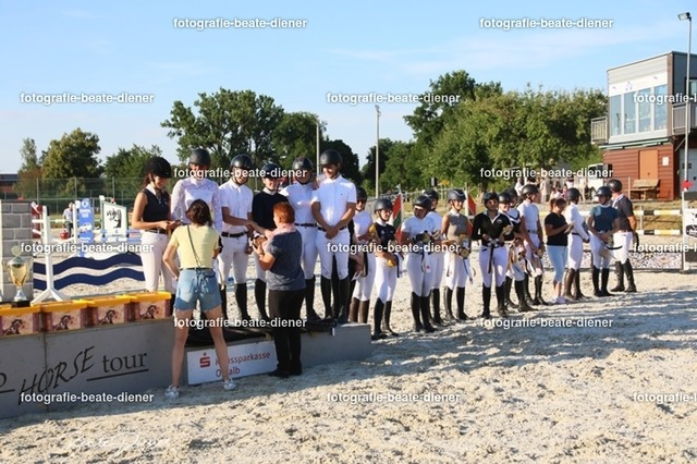 OHT 2022 Röhlingen (214) | Fotografie, Tiere, Hunde, Katzen, Pferde, Sportfotografie, Fotosession, Tierfotografie, Turnierfotografie, Fotografin, Fotograf - Realisiert mit Pictrs.com