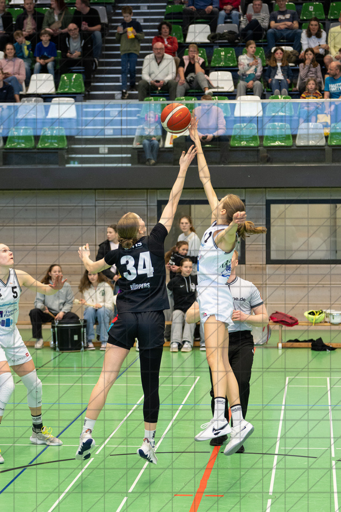 2. DBBL Nord 24/25 | 09.03.2025 | BBC OS vs. ChemCats Chemnitz | 2. DBBL Nord 24/25 | 09.03.2025 | BBC OS vs. ChemCats Chemnitz - - - - - CREDIT, www.bullenfotos.de, Martin König, Hörner Weg 40, D-49078 Osnabrück, +4917663732967, Nutzung und Weitergabe nur zu den vereinbarten Zwecken. Presseanfragen an Urheber. Alle Rechte beim Urheber. - - - - - - Realisiert mit Pictrs.com