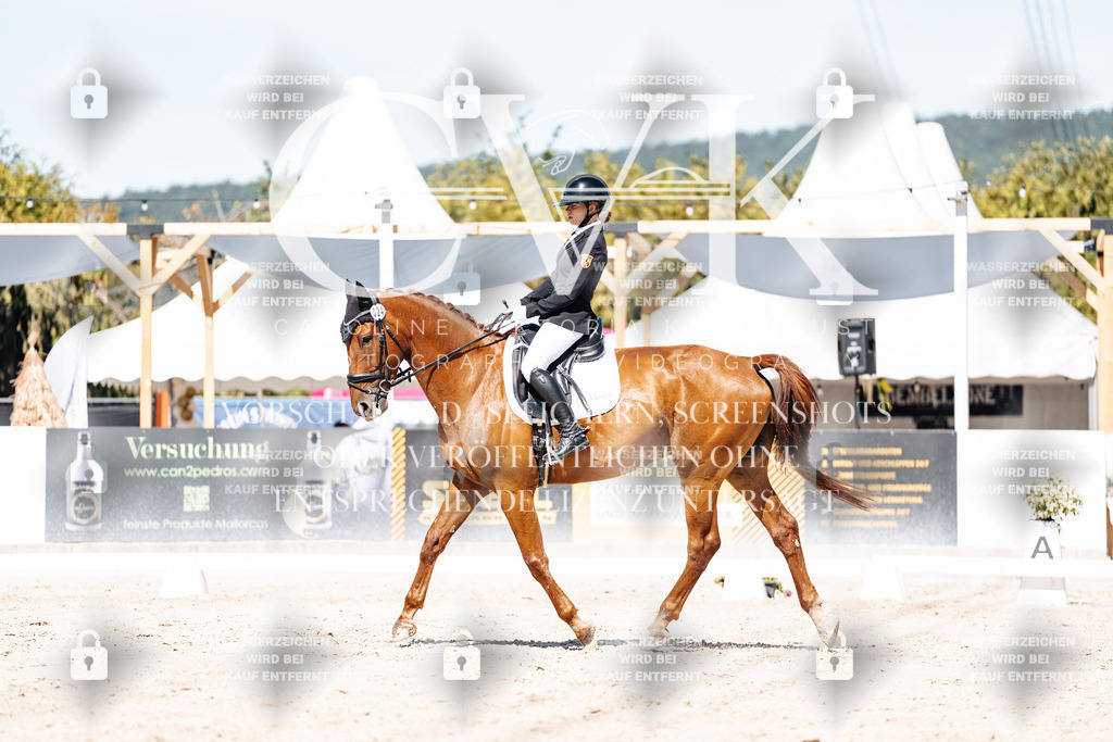 CK909506 | Turnierfotografie Pferdefotografie Trier Rheinland-Pfalz Pferdesport Reitsport Tierfotografie Sportfotografie Pferdevideo Pferdevideografie Equestrianvideography equestrianphotography  - Realisiert mit Pictrs.com