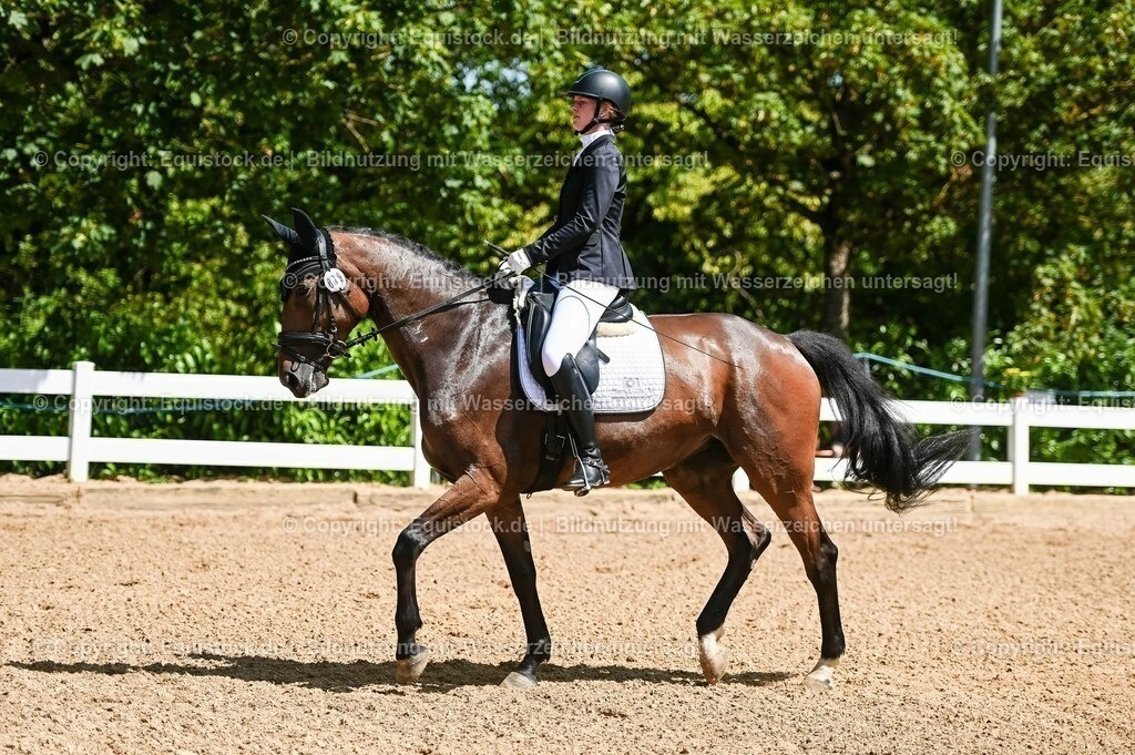 20230715_02_Dressurreiterprüfung Kl.L_0082 | equistock