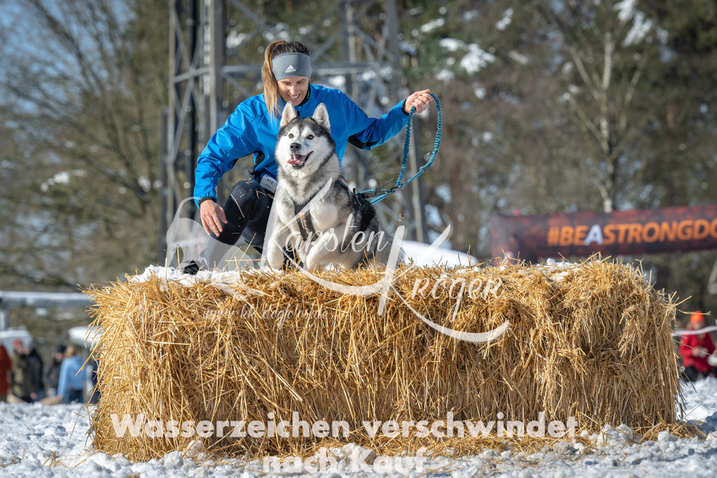 1149_ZZ91268-4 | kk-dogfotos