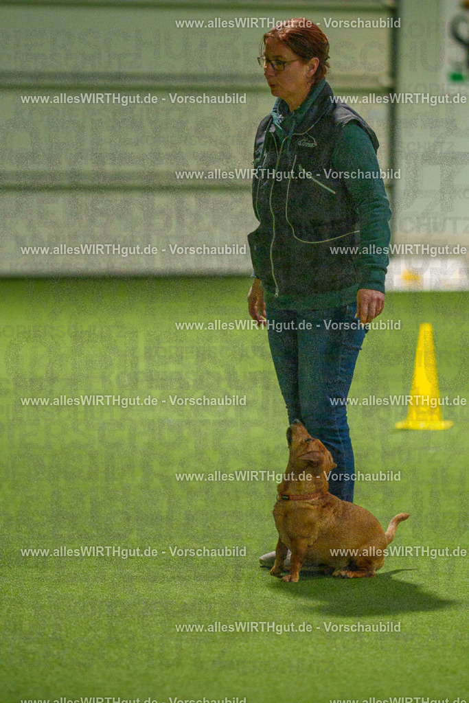 7R508669 | Professionelle Tierfotografie in Mönchengladbach von Daniel Wirth (allesWIRTHgut). Liebevolle & natürliche Bilder von Hunden & Katzen für unvergessliche Erinnerungen.