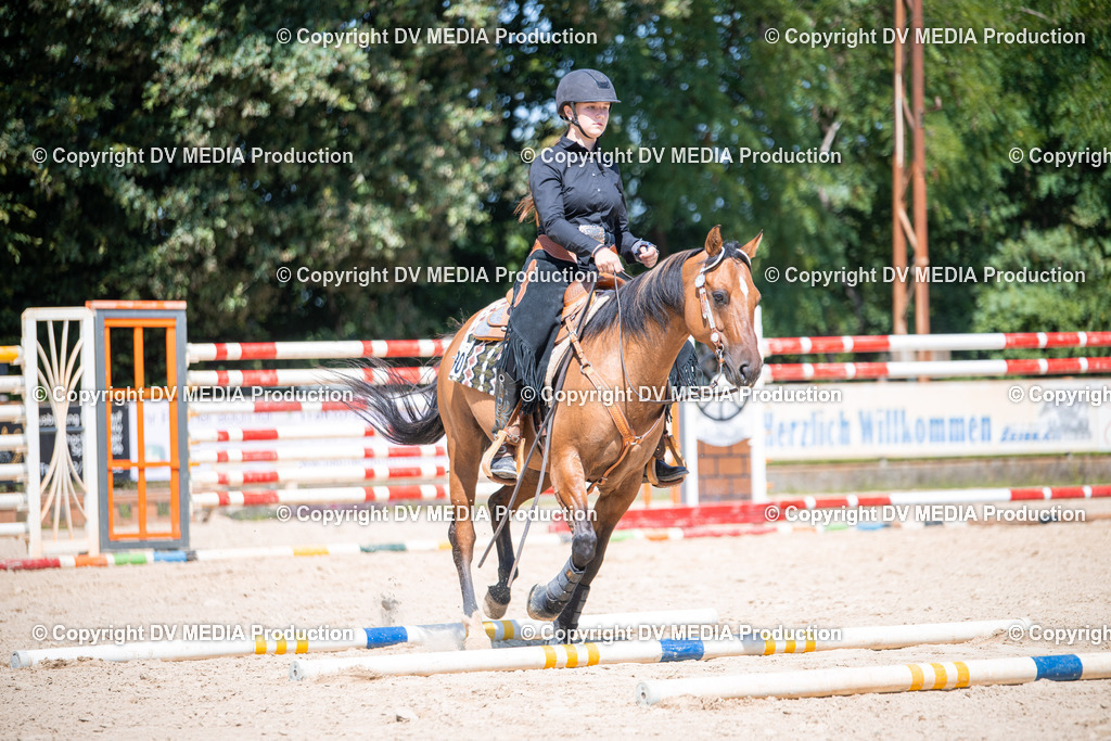 ZS1_1273 | dv-media-shop - Realisiert mit Pictrs.com