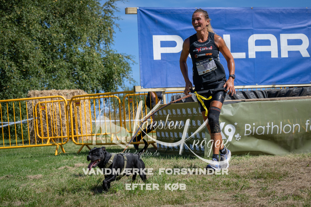 1131_ZZ91989 | kk-dogfotos