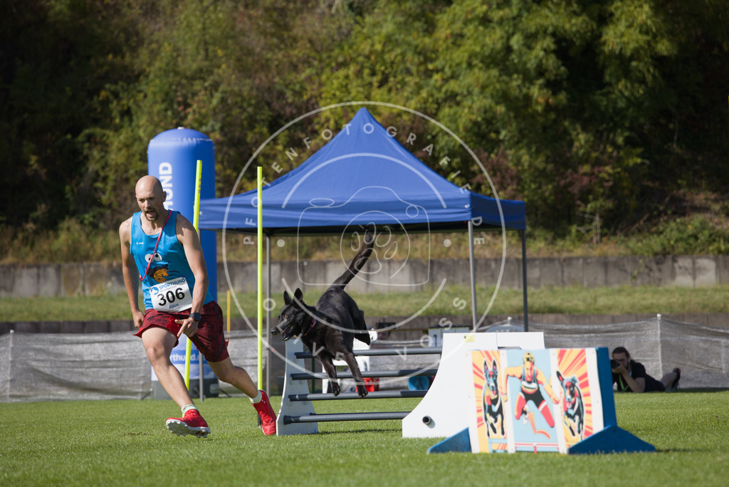 0L8A8168 | Hundefotografie, Tierfotograf, Pfotenfotografie, Fotoshooting Hund, Hunde Portrait, Hundesport, Hundeportraits, Heideshooting, Hunde, Sportfotograf, Hundefotograf, Turnierhundsport, THS,  - Realisiert mit Pictrs.com