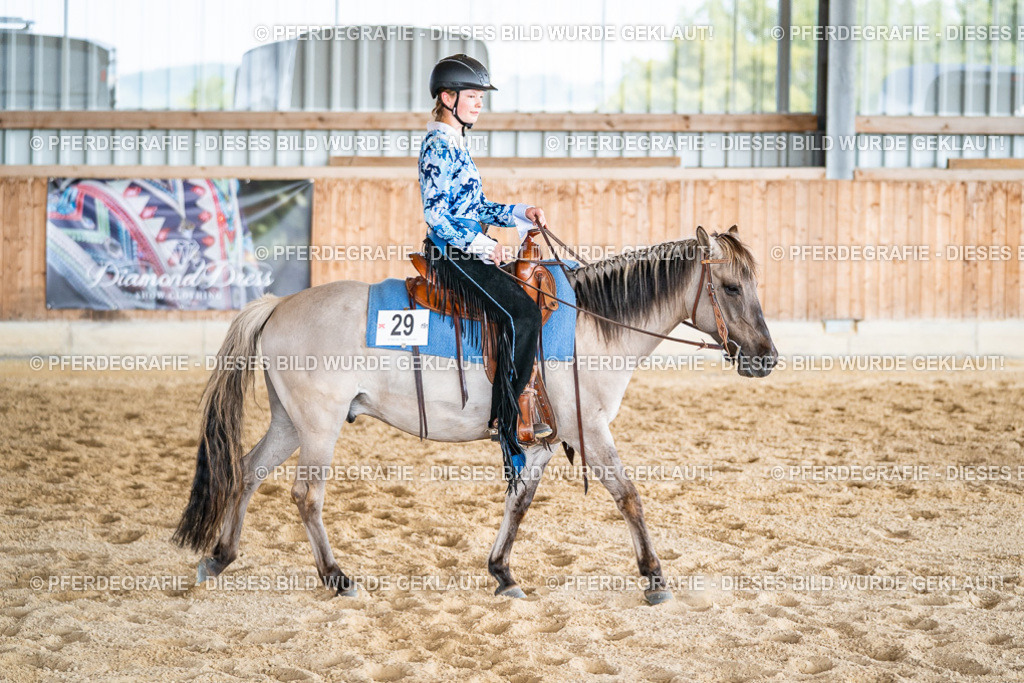 DSC09563 | Pferdegrafie