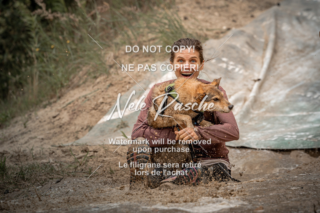 nelerasche_sa1230-1300_68 | nelerasche