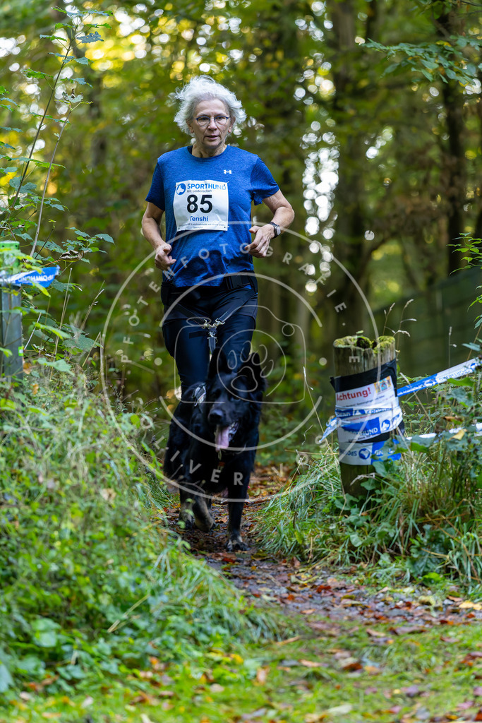 Pfotenfotografie_DV3A7609 | Hundefotografie, Tierfotograf, Pfotenfotografie, Fotoshooting Hund, Hunde Portrait, Hundesport, Hundeportraits, Heideshooting, Hunde, Sportfotograf, Hundefotograf, Turnierhundsport, THS,  - Realisiert mit Pictrs.com