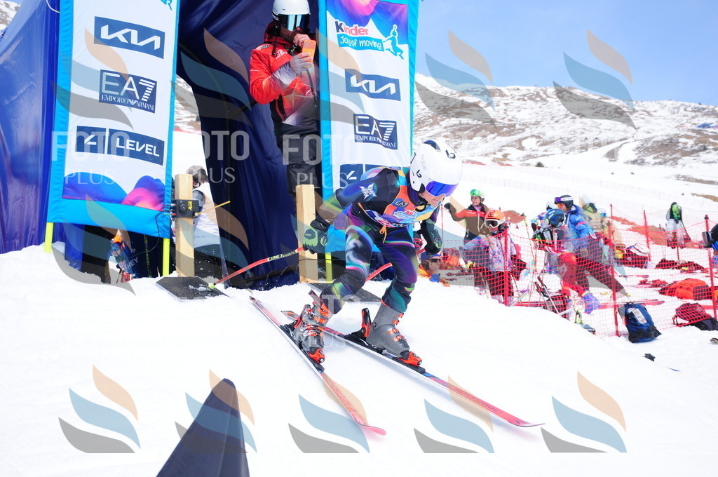 DSC_6524 | holidayphoto