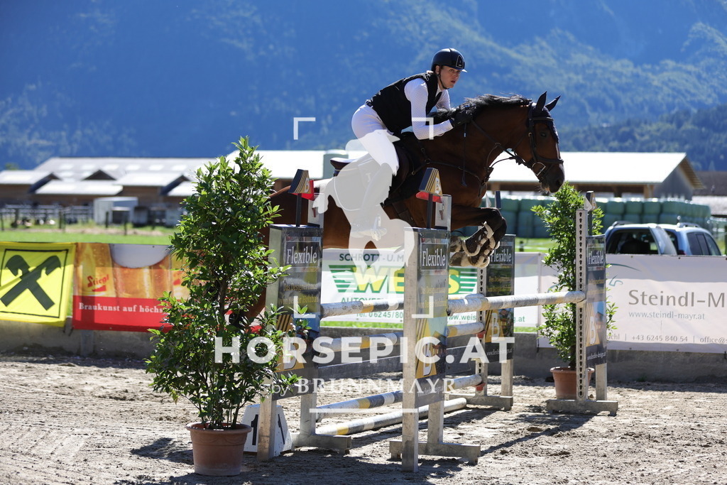 0P6A6977 | Willkommen bei Brunnmayr - Design & Fotografie – Ihrem Spezialisten für Reitturniere und Pferdeveranstaltungen in Oberösterreich, Salzburg und Bayern! Seit über 17 Jahren sind wir leidenschaftlich dabei.