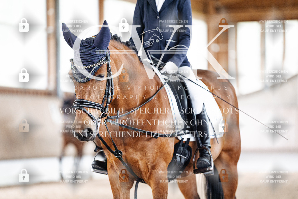 CK901603 | Turnierfotografie Pferdefotografie Trier Rheinland-Pfalz Pferdesport Reitsport Tierfotografie Sportfotografie Pferdevideo Pferdevideografie Equestrianvideography equestrianphotography  - Realisiert mit Pictrs.com