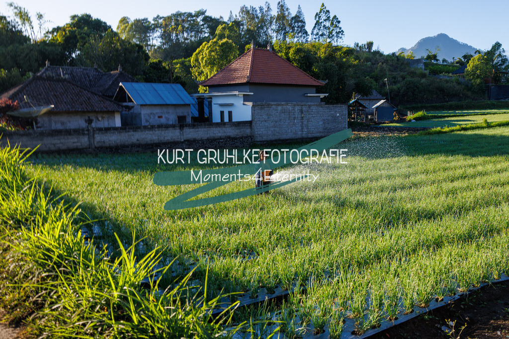 230719-0705 - Kopie | onlinegalerie und Fotoshop Kurt Gruhlke Fotograf Berlin
Hochzeitsfotograf Eventfotograf Portraitfotografie
 - Realisiert mit Pictrs.com