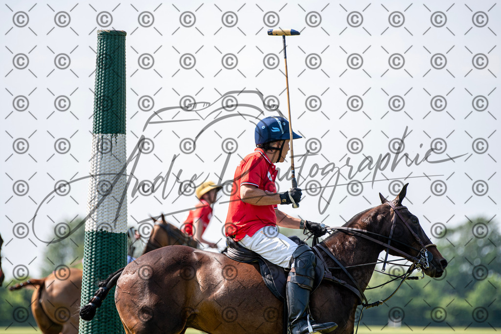 POL_2336 | andre_photographic