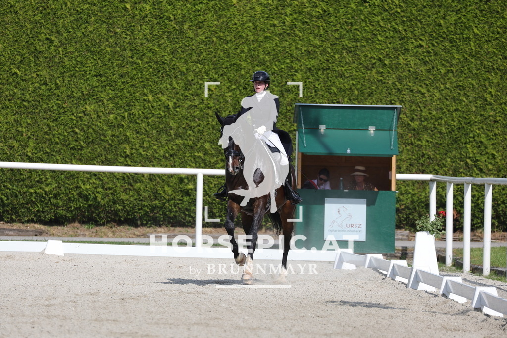 0P6A6743 | Willkommen bei Brunnmayr - Design & Fotografie – Ihrem Spezialisten für Reitturniere und Pferdeveranstaltungen in Oberösterreich, Salzburg und Bayern! Seit über 17 Jahren sind wir leidenschaftlich dabei.