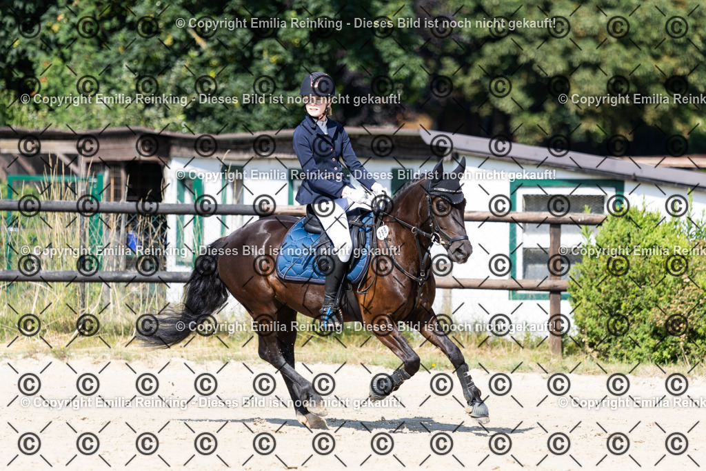 CL5A6550 | Emilia Reinking Fotografie - Realisiert mit Pictrs.com