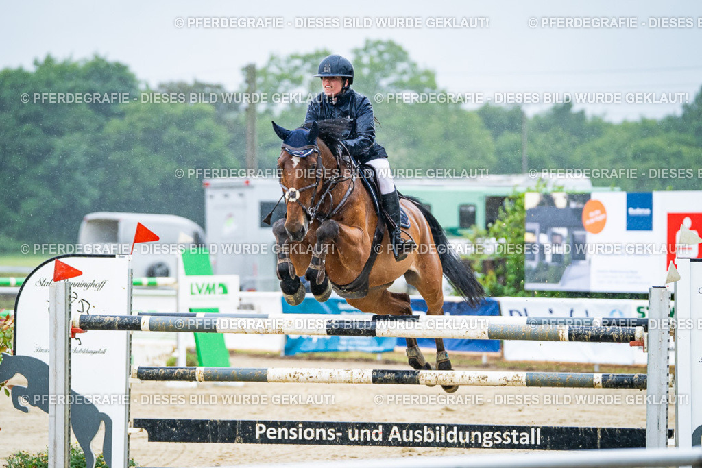 DSC00069 | Pferdegrafie