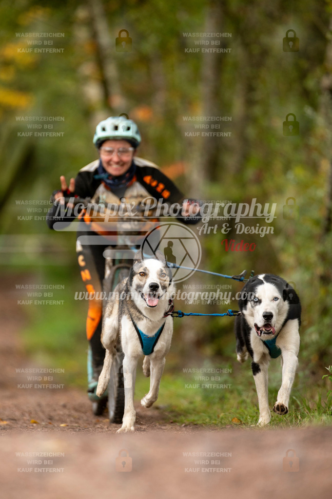 TSB_2023_E4_DS2-7 | PayLife