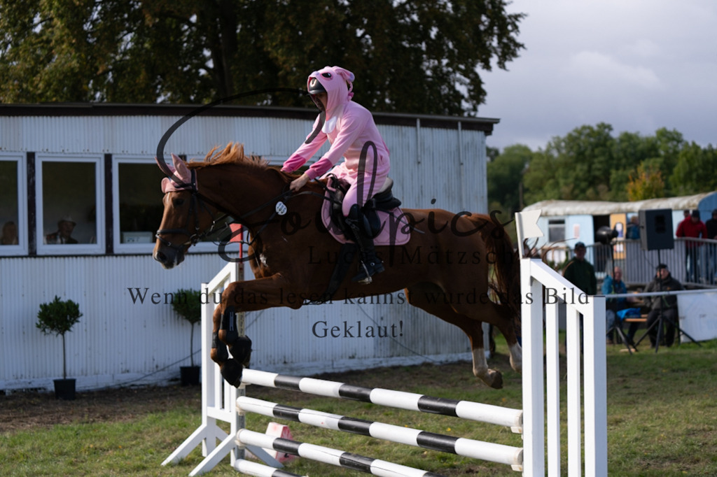 A7V06507 | Pferdefotograf