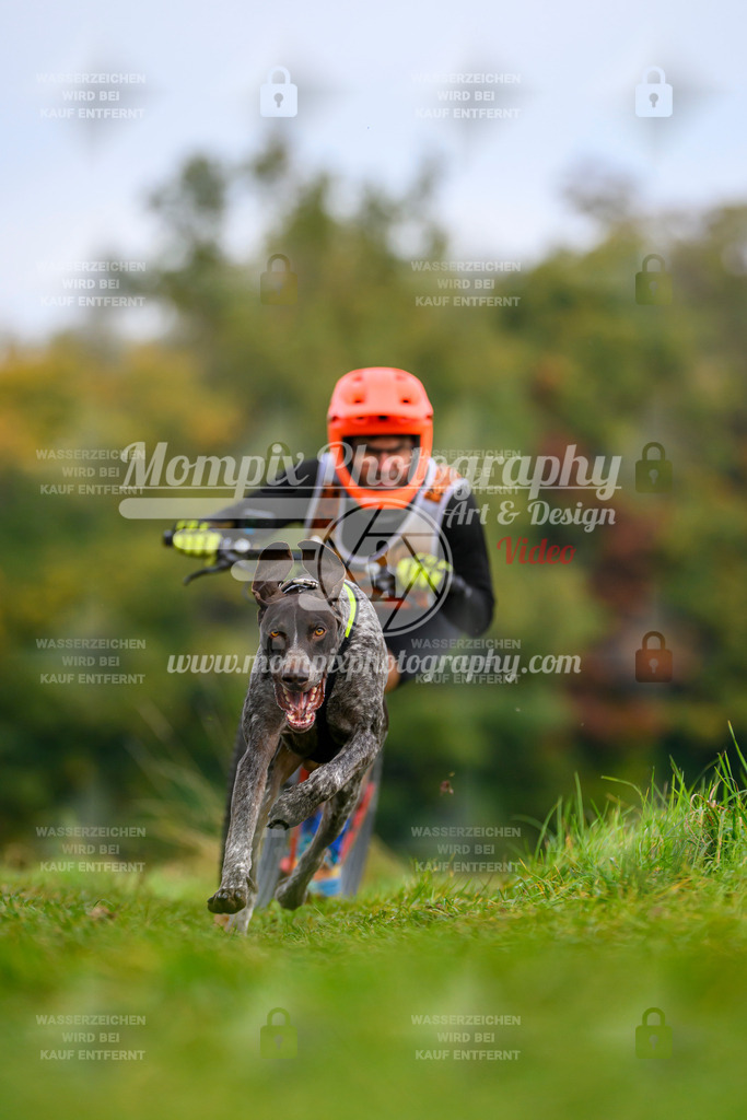 MompixPhotography_CDLBDB2025_DI_DS-43 | PayLife
