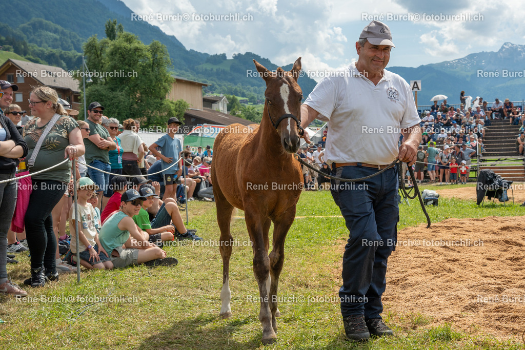RB_03536 | René Burch leidenschaftlicher Fotograf aus Kerns in Obwalden.  Hier finden sie Sport, Landschaft und Natur Fotografie.
 - Realisiert mit Pictrs.com